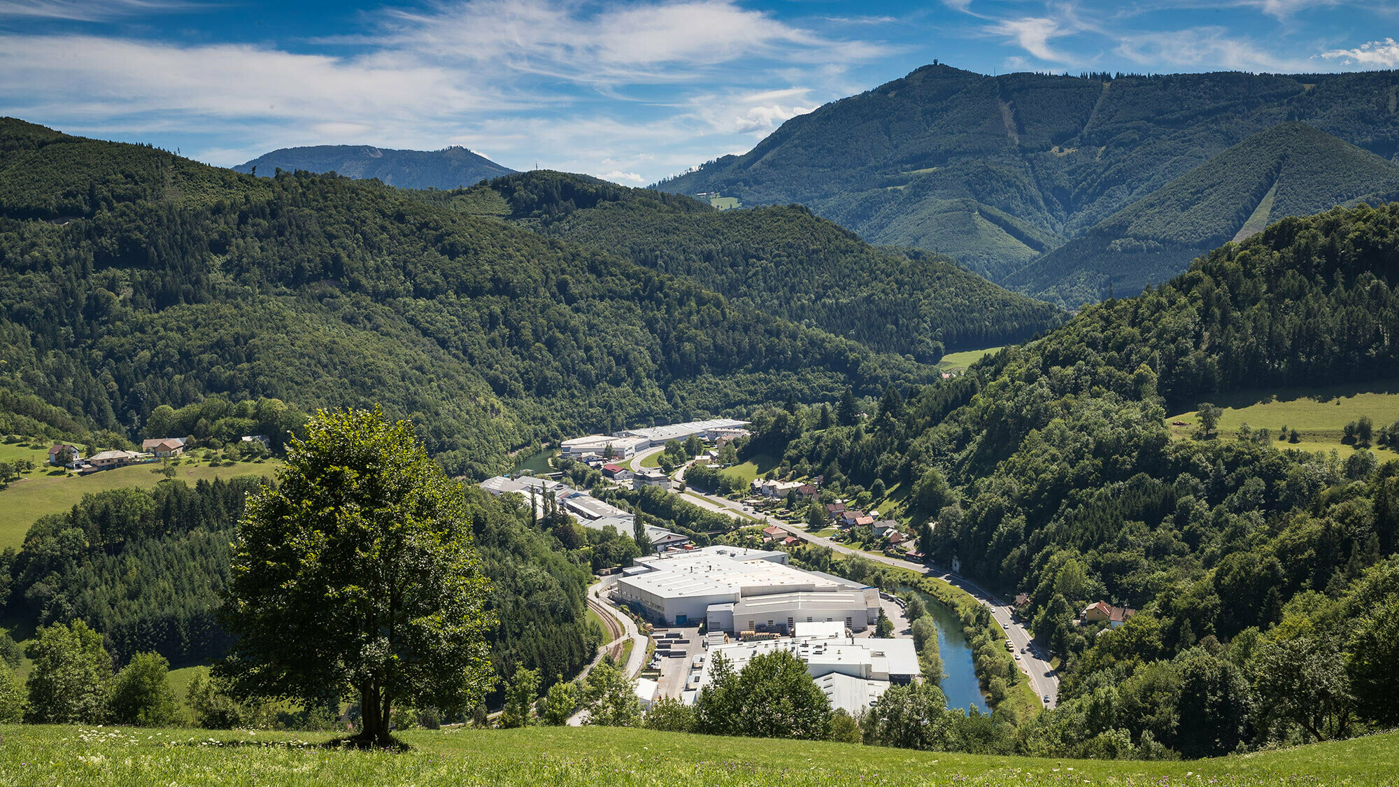 Photo de l'usine PREFA à Marktl depuis l’une des collines environnantes, avec arbre sur espace vert au premier plan et grandes forêts de Lilienfelder en arrière-plan