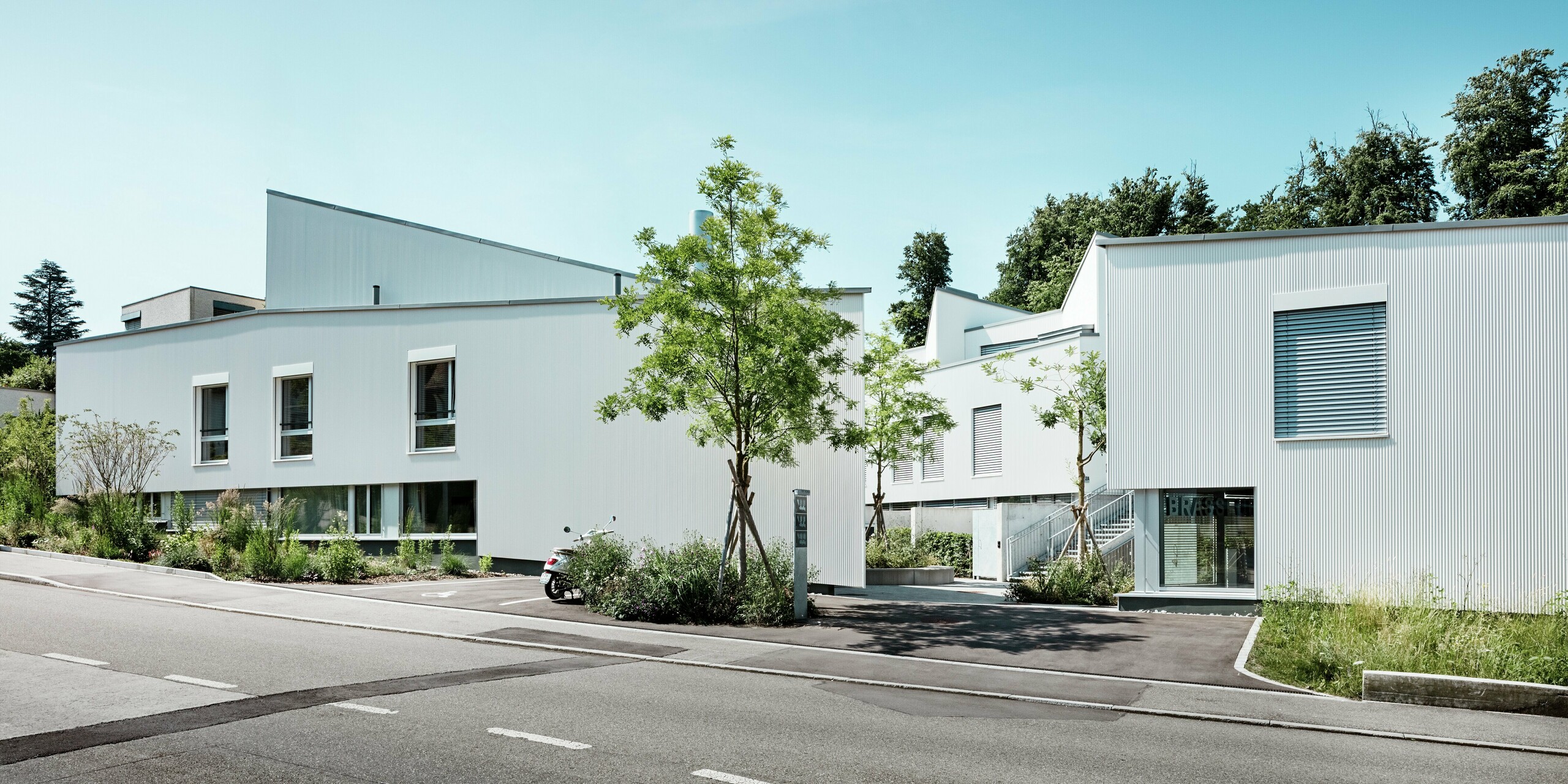 Vue de rue des maisons modernes de Zollikerberg, caractérisées par une façade homogène réalisée avec des profils triangle PREFA P.10 blanc pur. L'architecture minimaliste, les lignes épurées et la toiture PREFALZ gris quartz, d'une grande durabilité, confèrent aux bâtiments une allure particulièrement soignée. L'aluminium PREFA séduit par sa résistance aux intempéries, sa longévité et son élégance. La végétation luxuriante et bien entretenue crée une atmosphère agréable et adoucit la palette de couleurs minimaliste.