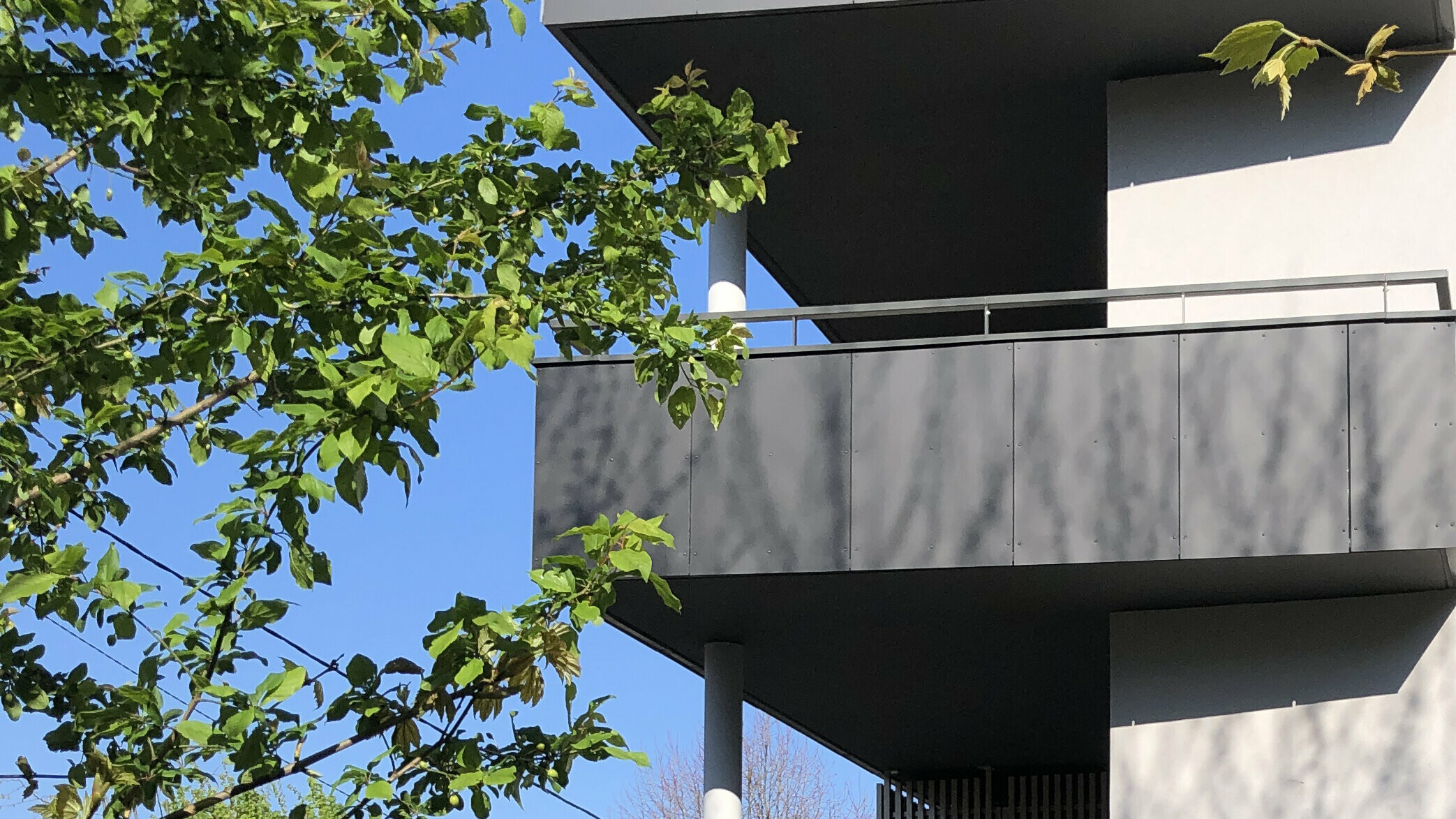 Vue rapprochée sur les balcons de la résidence Ambre & Onyx recouverte de panneaux composites en aluminium PREFABOND dans la teinte gris noir.