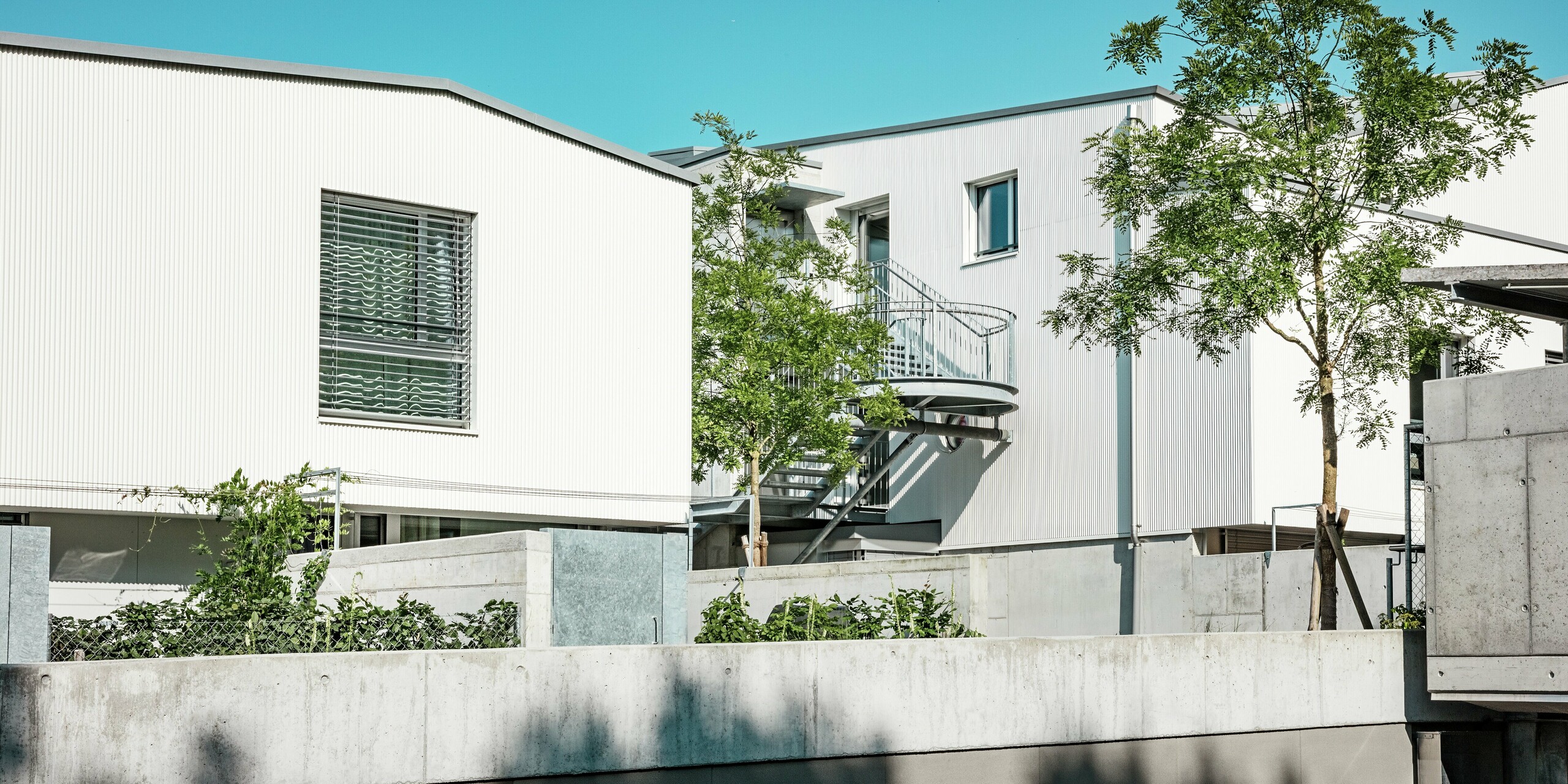 Vue d'un complexe de mini-maisons modernes à Zollikerberg, dont les façades sont réalisées en profilé triangle PREFA P.10 blanc pur. Les lignes précises de l'aluminium extrudé créent un élégant jeu de lumière, tandis que les baies vitrées et un remarquable escalier extérieur adoucissent la conception architecturale. Les matériaux PREFA offrent une protection durable, sont faciles d'entretien et parfaitement adaptés aux constructions compactes.