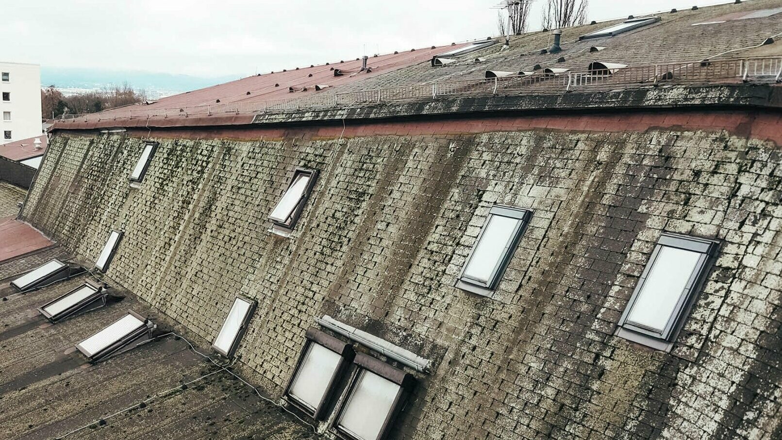 Das alte Dach mit dicken Bitumenschindeln. Das Bild zeigt auch die verschiedenen Oberlichter.
