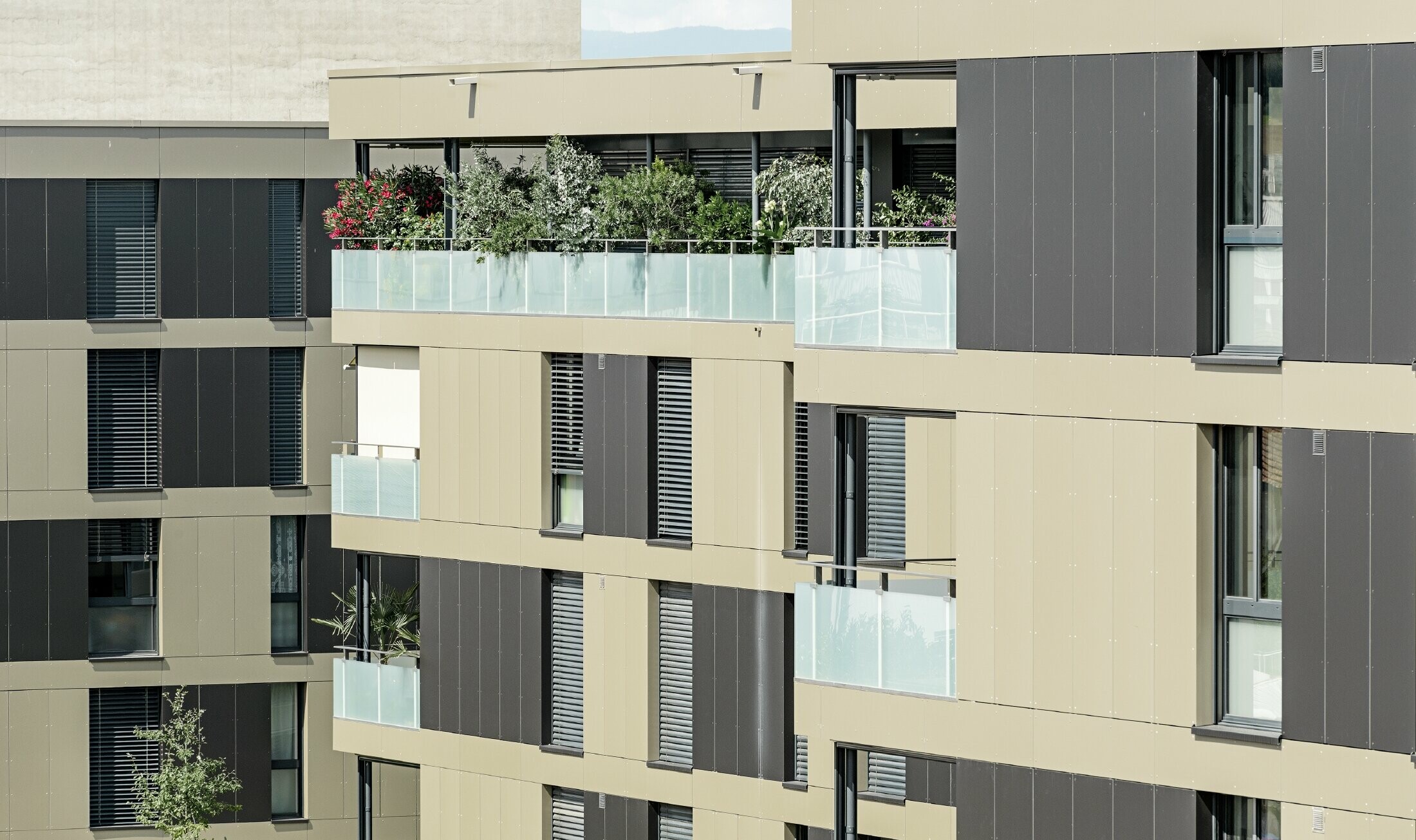 Complexe résidentiel aux immeubles cubiques — Façades en aluminium PREFA de couleur bronze avec des éléments gris noir