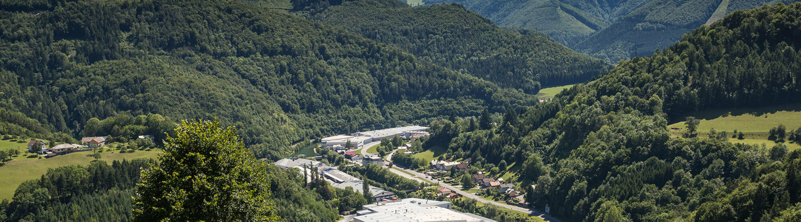 Photo de l'usine PREFA à Marktl depuis l’une des collines environnantes, avec arbre sur espace vert au premier plan et grandes forêts de Lilienfelder en arrière-plan