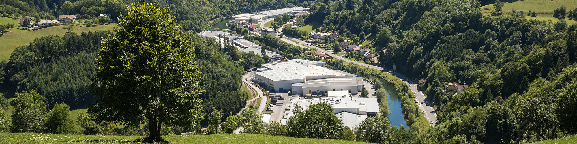 Photo de l'usine PREFA à Marktl depuis l’une des collines environnantes, avec arbre sur espace vert au premier plan et grandes forêts de Lilienfelder en arrière-plan