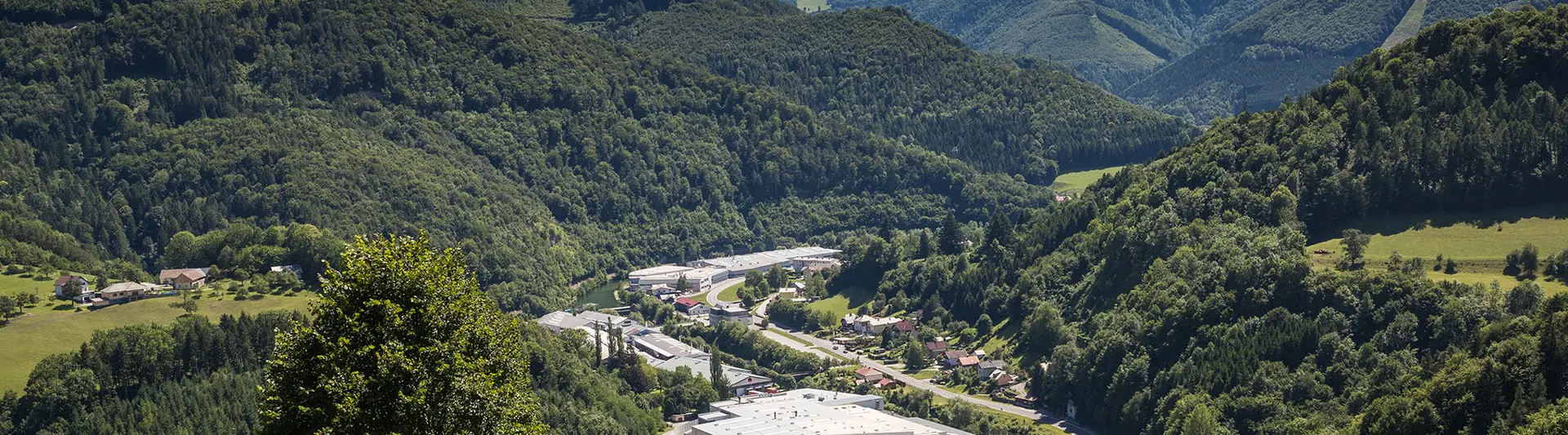 Photo de l'usine PREFA à Marktl depuis l’une des collines environnantes, avec arbre sur espace vert au premier plan et grandes forêts de Lilienfelder en arrière-plan
