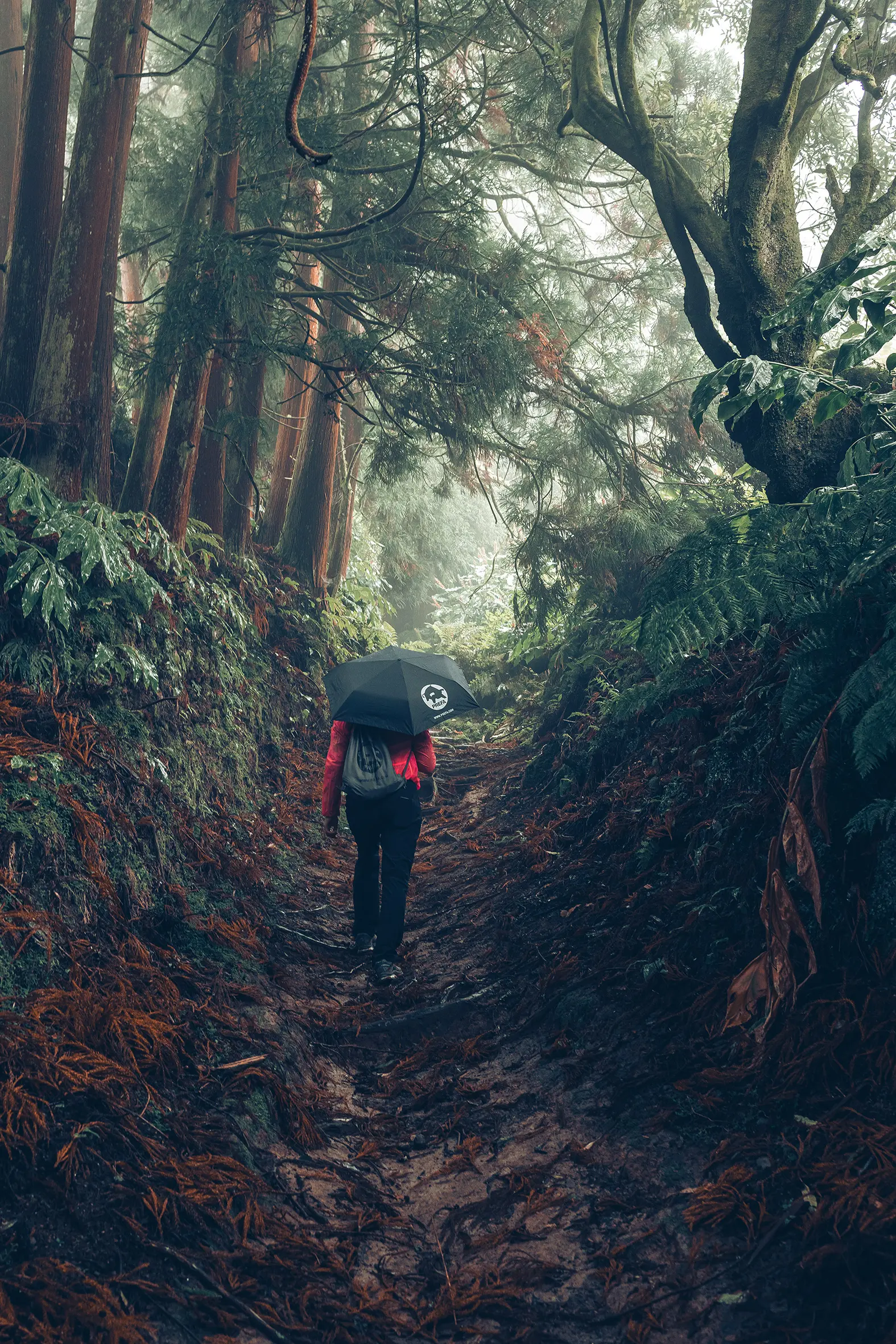 Photo : promeneuse en forêt, en veste rouge avec parapluie et sac à dos PREFA, symbolisant la protection de l’environnement et la durabilité PREFA, ainsi que l’économie circulaire et le recyclage